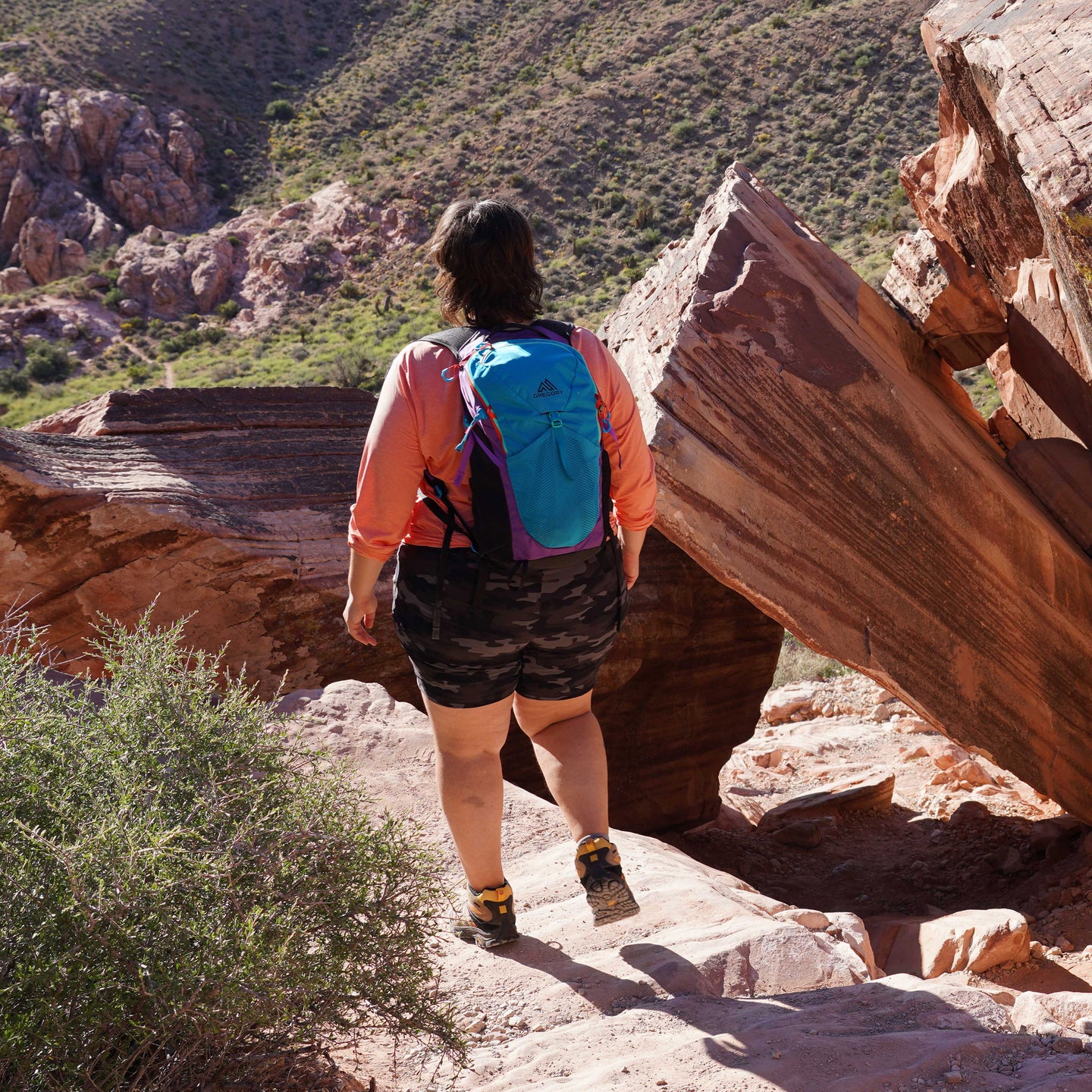 Click  here to shop the Nano 24 Plus Size pack in the Gregory x Unlikely Hikers collaboration collection.